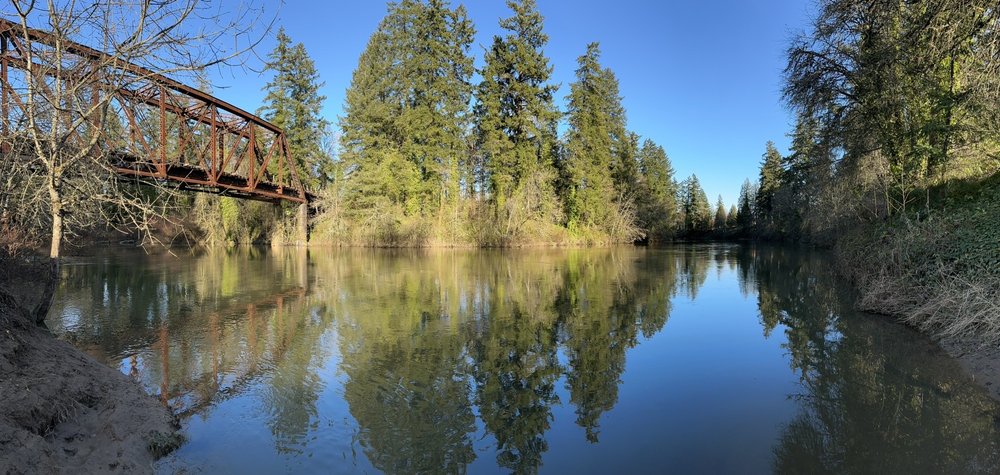 Coach4Parents.com - grief counselor in Portland, OR