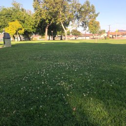Lots of grass for playing Lots of grass for playing