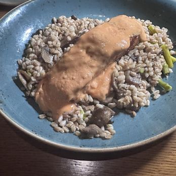 Scout - Salmon and farro - Bars Near Me - Decatur, Georgia