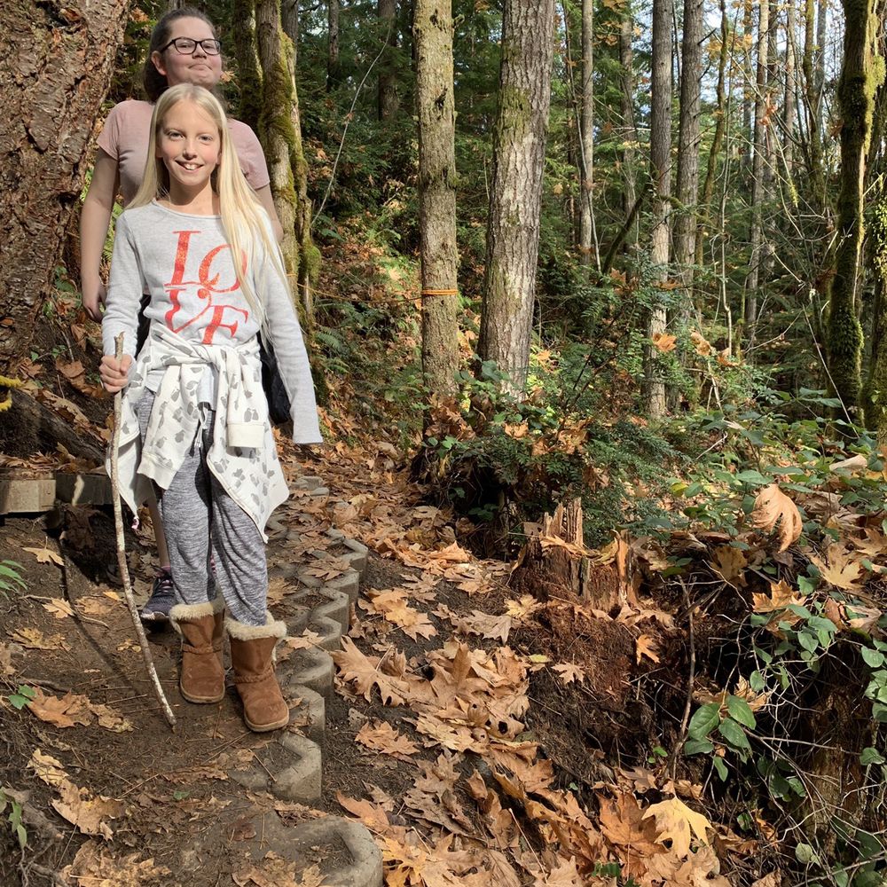 Dickerson Creek Waterfall - Hiking Near Me - Bremerton, Washington