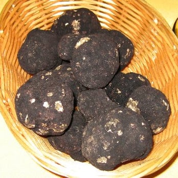 Whole Earth Harvest - a basket of black truffles - Specialty Food Near Me Whole Earth Harvest - a basket of black truffles - Specialty Food Near Me