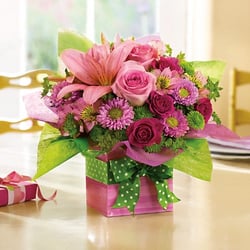 Expressions in Bloom