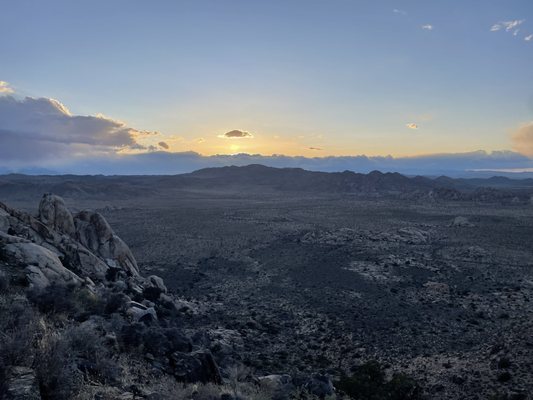 Joshua Tree Visitor Center by null