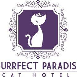 Purrfect Paradise Cat Hotel