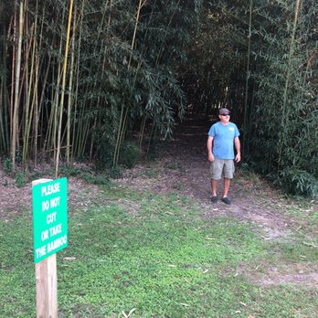 Tabasco Food Tours - Bamboo - Food Tours Near Me - Iberia Parish, Louisiana Tabasco Food Tours - Bamboo - Food Tours Near Me - Iberia Parish, Louisiana