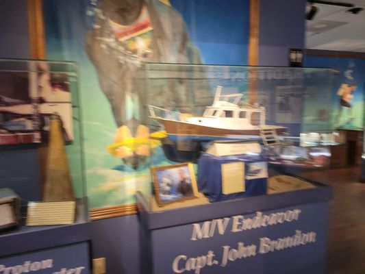 Mel Fisher's Treasures by null