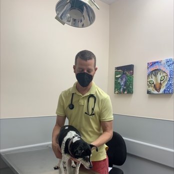 St. Francis Animal Clinic - Great Vet - Veterinarians Near Me - Naples, Florida