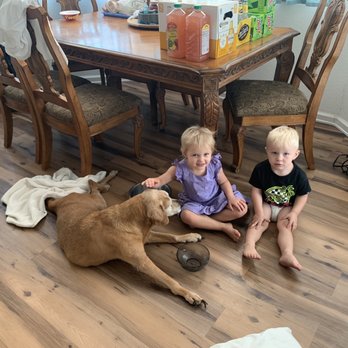 Lyon County Animal services - Charlotte and grandchildren - Animal Shelters Near Me - Silver Springs, Nevada Lyon County Animal services - Charlotte and grandchildren - Animal Shelters Near Me - Silver Springs, Nevada