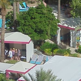 Flamingo Las Vegas - Hotels Near Me - Las Vegas, Nevada
