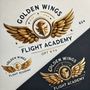 Photo of Golden Wings Flight Academy