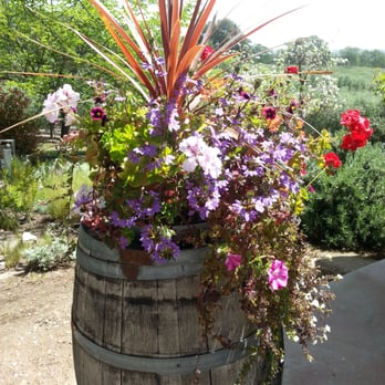 Olea Farm - Olive Oil Near Me - Templeton, California