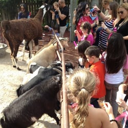 A&D Landscaping - Petting zoo