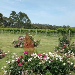 Stumpy Gully Vineyard - Lovely greenery and flowers amongst the winery