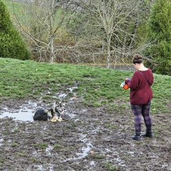 Paul and Verna Winkelman Dog Park - Really? Husky will do what huskies do!