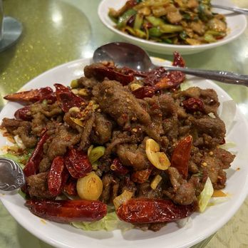 Sichuan Fusion - Numbing Spicy Lamb - Szechuan Near Me - Richmond, California Sichuan Fusion - Numbing Spicy Lamb - Szechuan Near Me - Richmond, California