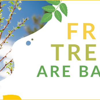 TigerTree - Tree Services Near Me - Greeley, Colorado