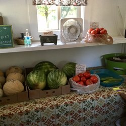 Lynn's Garden Shed - Melons smelled delicious.