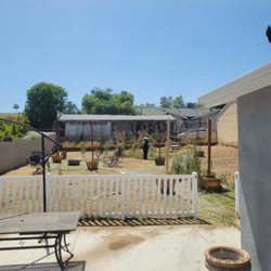 Angel's Gardening Services - The forest is almost gone and my backyard is back!