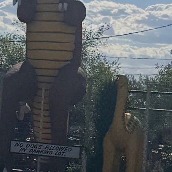 Dairy Queen Grill & Chill - Dinosaurs greet you on the way in to Holbrook - Fast Food Near Me - Holbrook, Arizona