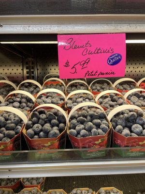 Maisonneuve Market by null