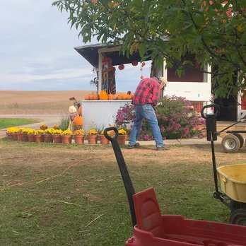 Peter's Pumpkins - Pick Your Own Farms Near Me - Shakopee, Minnesota