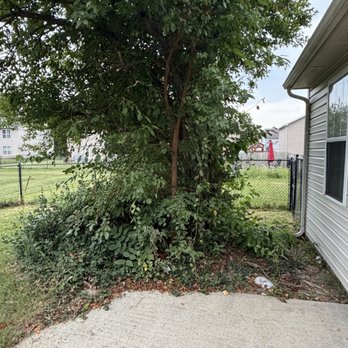 Progress Residential - Over growth and trash - Real Estate Services Near Me - Indianapolis, Indiana Progress Residential - Over growth and trash - Real Estate Services Near Me - Indianapolis, Indiana