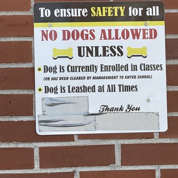 Gladio K9 - Pet Training Near Me - North Providence, Rhode Island Gladio K9 - Pet Training Near Me - North Providence, Rhode Island