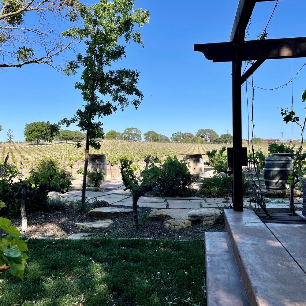 Castoro Cellars - View from the outdoor tasting. - Wineries Near Me - Templeton, California