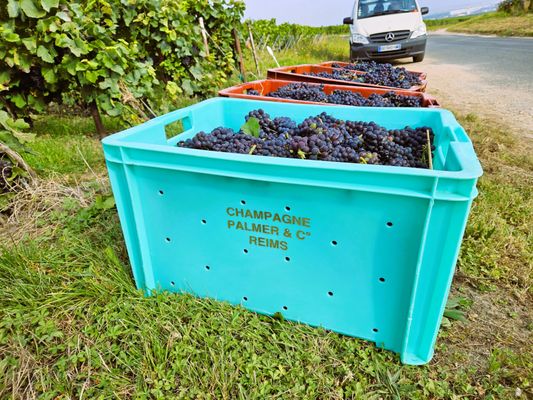 Paris Champagne Tour by null