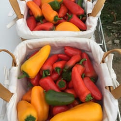 Good Earth Farm Stand