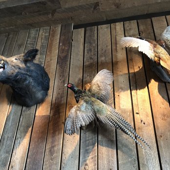 Angler - More taxidermy - Seafood Near Me - San Francisco, California
