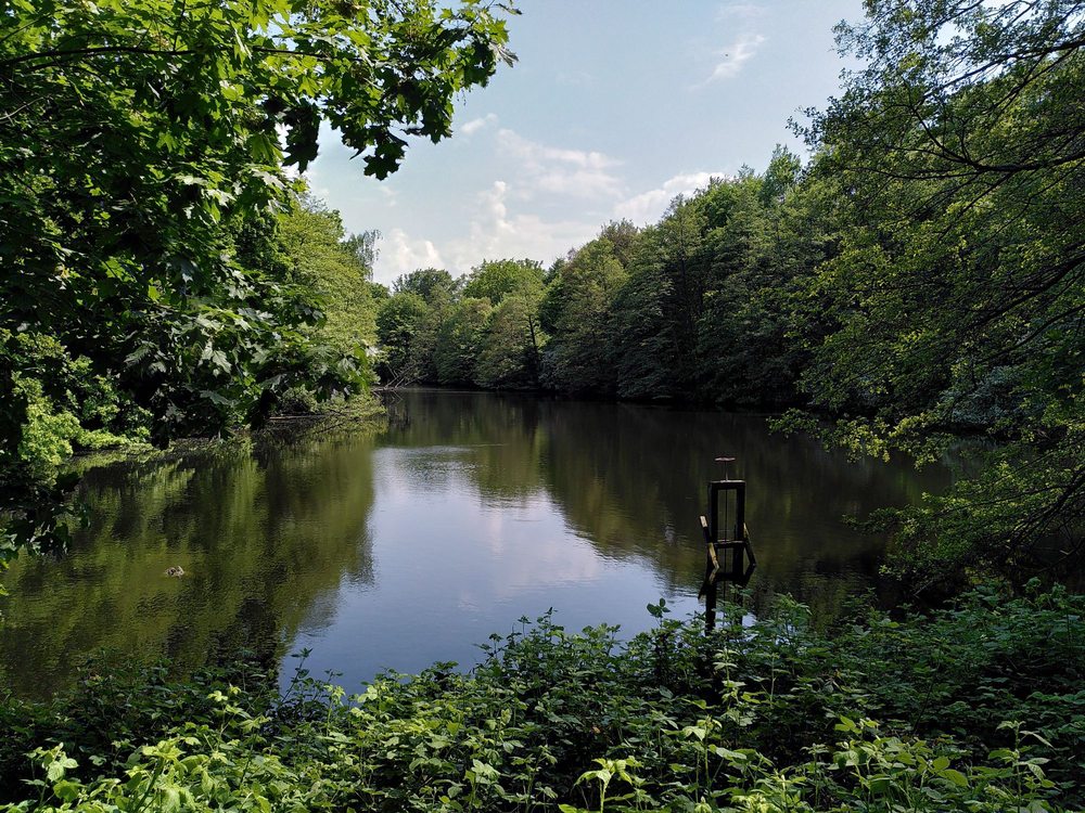 Frankfurter Stadtwald