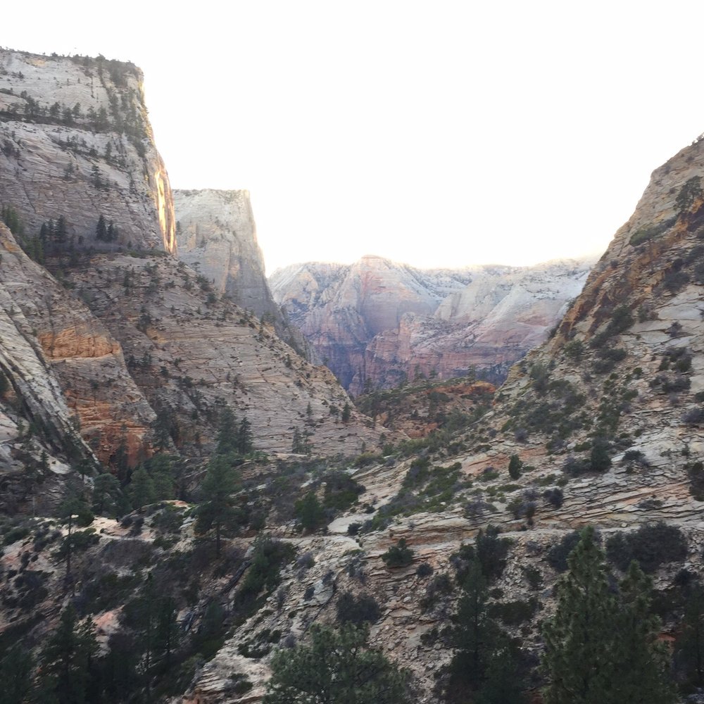 Observation Point - Hiking Near Me - Springdale, Utah Observation Point - Hiking Near Me - Springdale, Utah