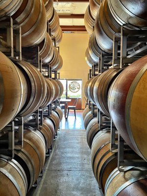 Camins 2 Dreams by null