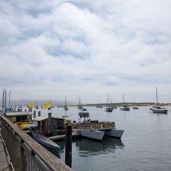 Three Stacks and a Rock Brewing - View - Breweries Near Me - Morro Bay, California