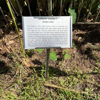 Jungle Gardens - Botanical Gardens Near Me - Avery Island, Louisiana Jungle Gardens - Botanical Gardens Near Me - Avery Island, Louisiana