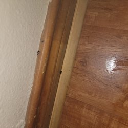 Outback Campground & Marina - More roaches