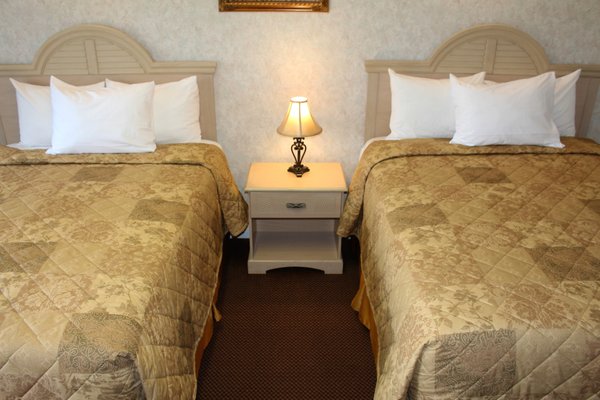 Country view Inn & Suites by null