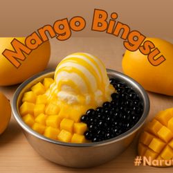 Y Not Today - Mango Bingsu