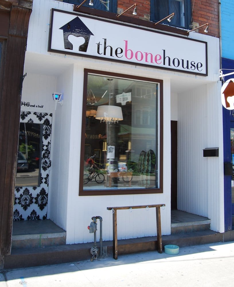 The Bone House Image