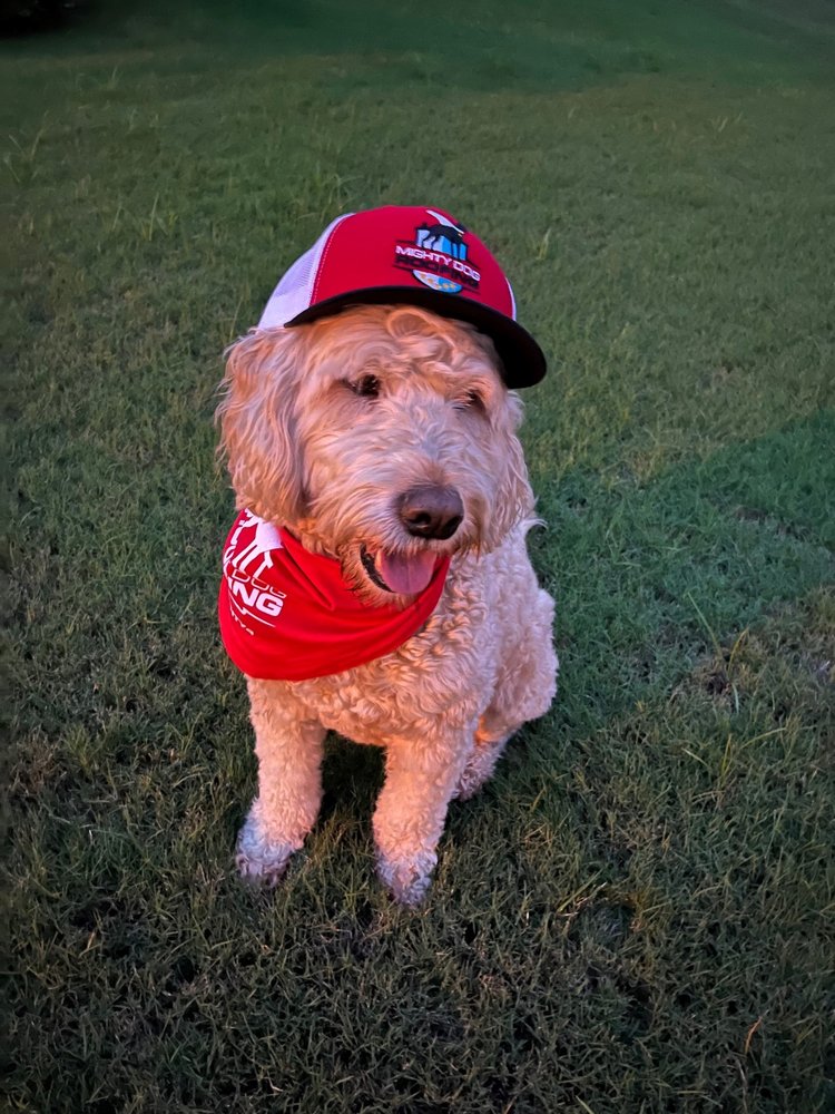 Slide of Mighty Dog Roofing of Northeast Atlanta