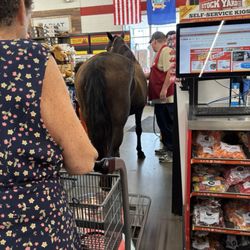 Tractor Supply - I know dogs are allowed but this is a first....