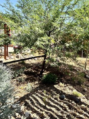 Civano Nursery - Retail Location by null