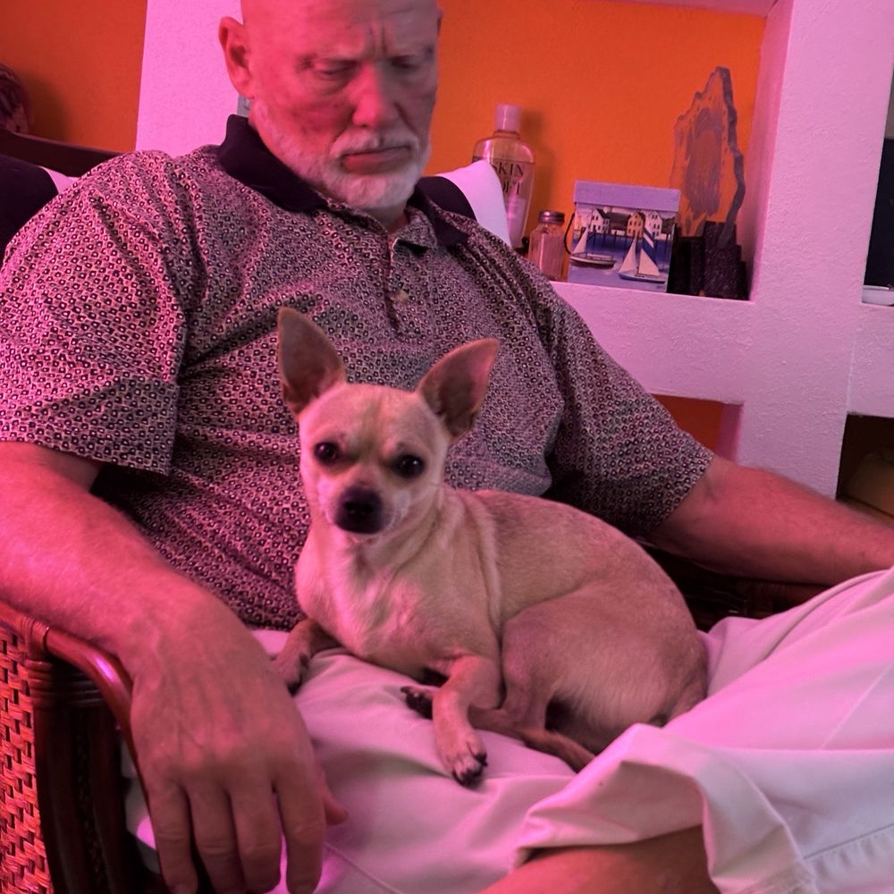 Blue House Cavaliers in Utah | Cavalier King Charles Spaniel puppies | Good  Dog, image size:1000x1000