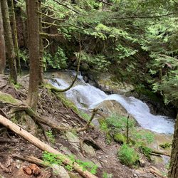 Kennedy Falls - June 14, 2025.