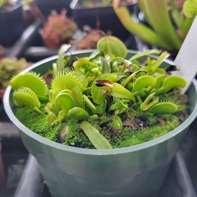 Waterfront Market at Ruston by null