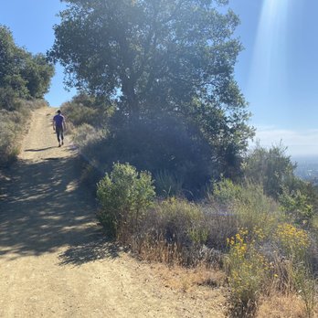 Fremont Older Open Space Preserve - Going up to Maisie's peak - Parks Near Me - Saratoga, California Fremont Older Open Space Preserve - Going up to Maisie's peak - Parks Near Me - Saratoga, California