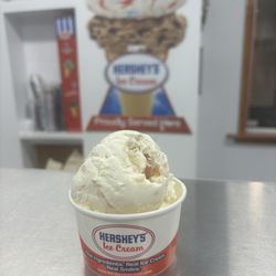 The Ice Cream Place - Banana Pudding flavored ice cream