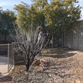 Aqua-Safe Unlimited - We still have yard work to do and they made it happen!!! - Fences & Gates Near Me - Las Vegas, Nevada Aqua-Safe Unlimited - We still have yard work to do and they made it happen!!! - Fences & Gates Near Me - Las Vegas, Nevada