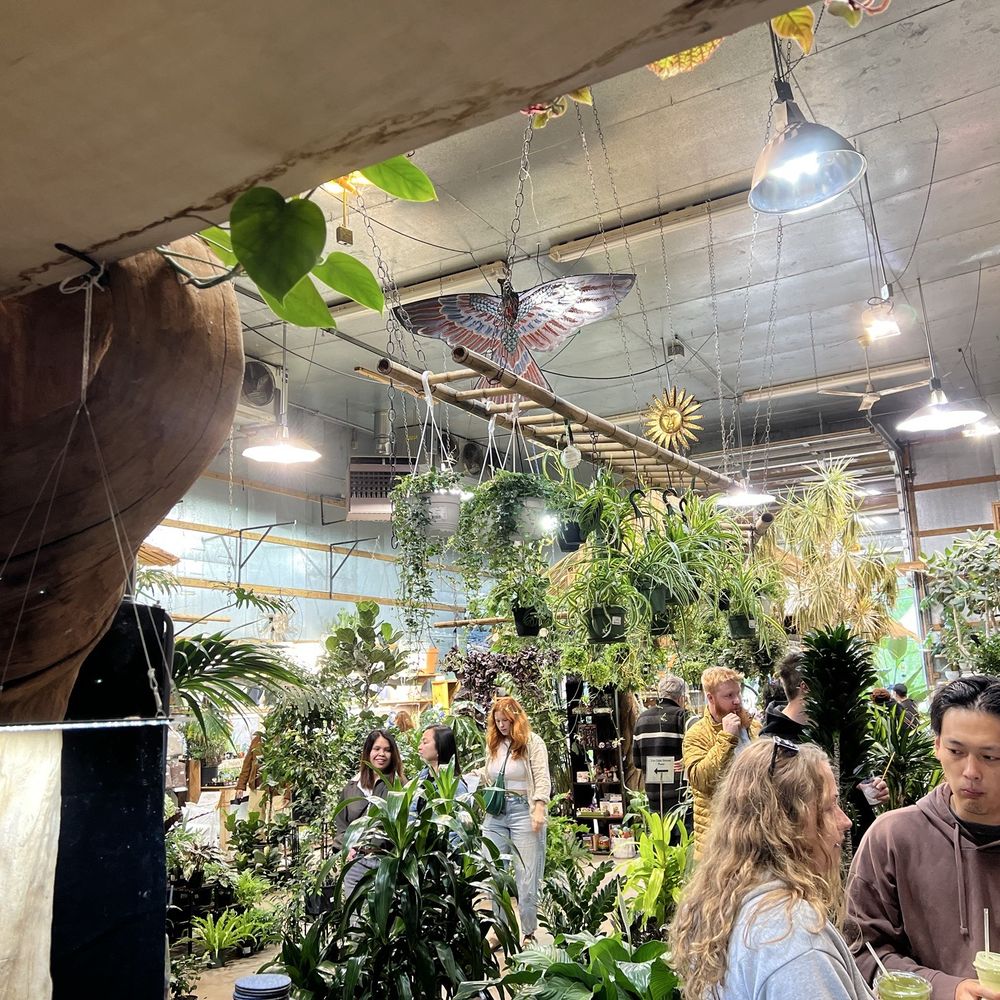 Indoor Sun Shoppe - Nurseries & Gardening Near Me - Seattle, Washington Indoor Sun Shoppe - Nurseries & Gardening Near Me - Seattle, Washington